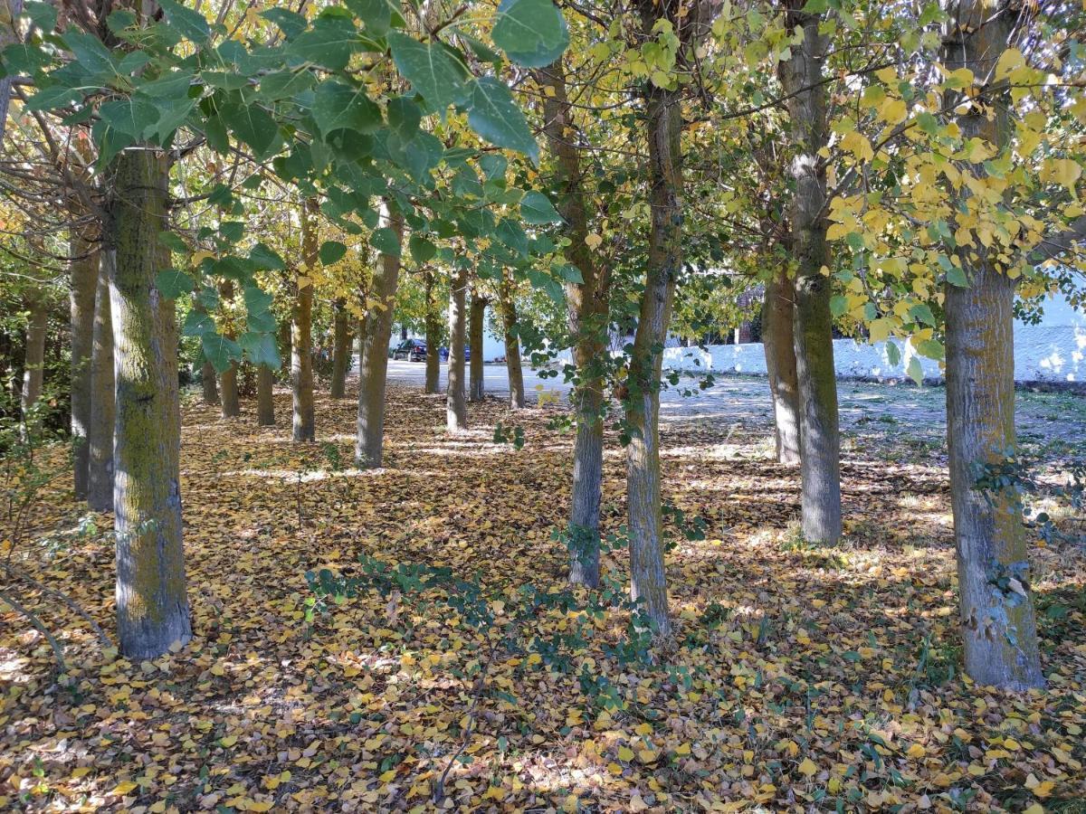 Complejo Apartamentos Rurales Molino De Abajo Рибера-Баха Экстерьер фото